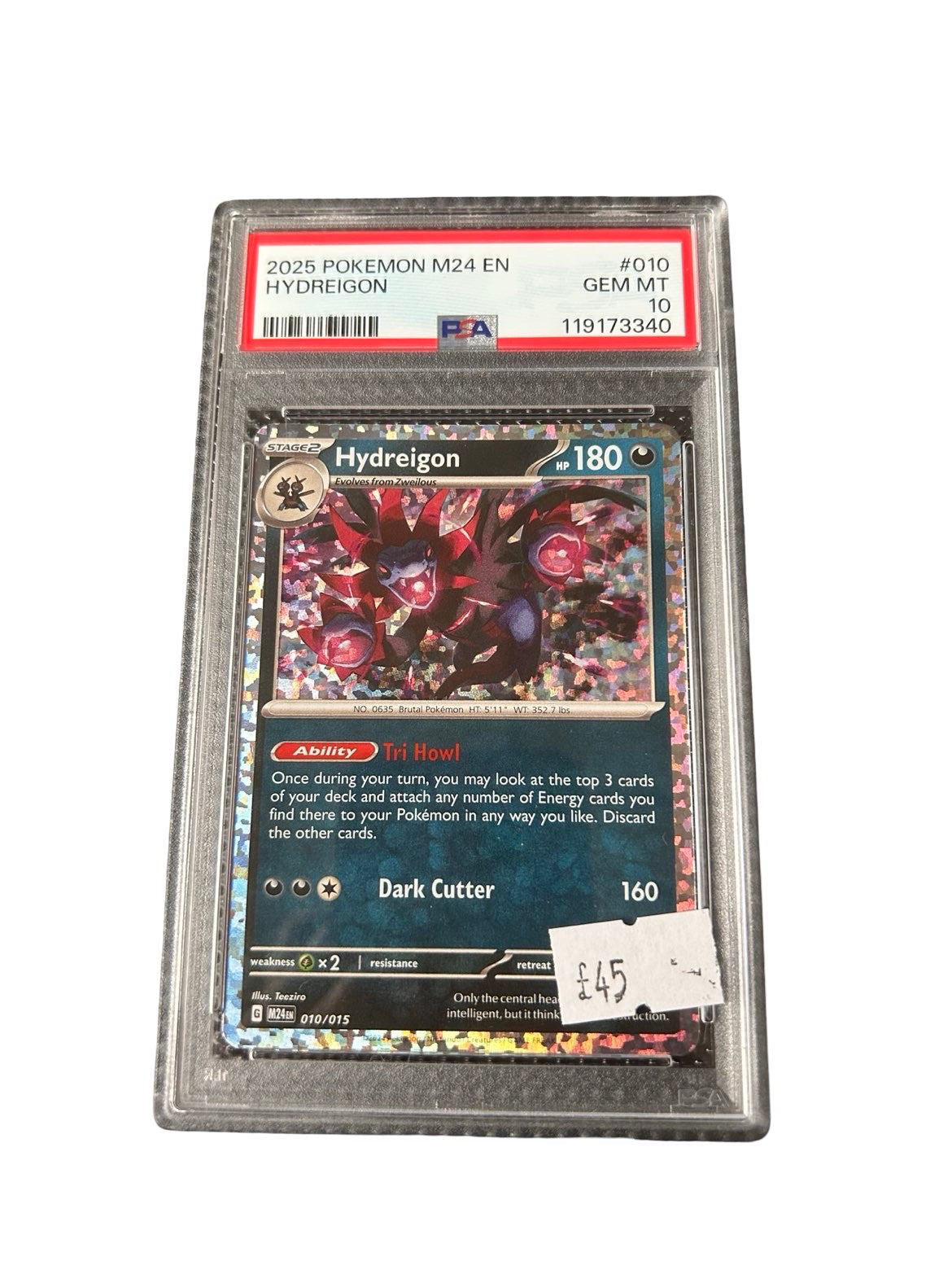 Hydreigon M24 PSA10